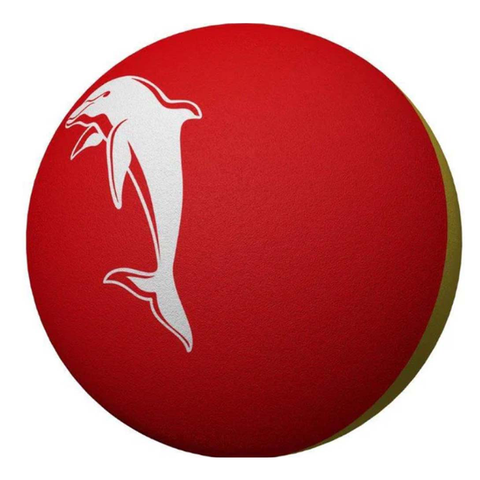 Dolphins Bounce Ball