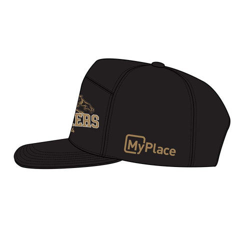 Penrith Panthers 2024 Premiers Cap - Pre Sale